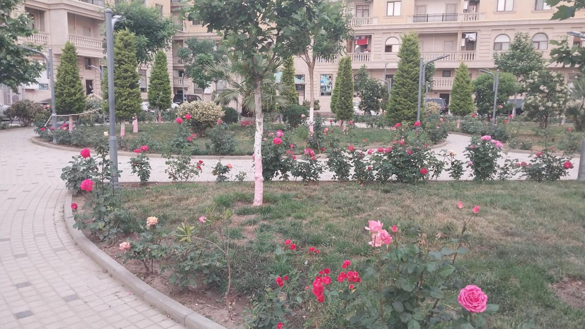 Banu House Apartment Sumqayyt Exterior photo